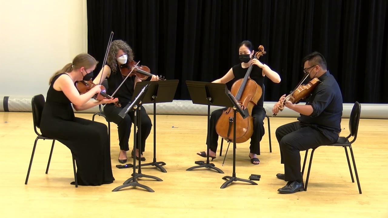 Elegy (2022) [] for string quartet [] By Jaime García-Añoveros [] Arneis Quartet