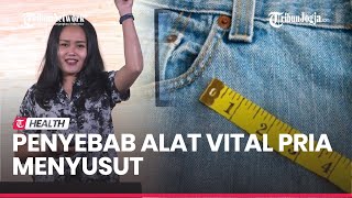 RESEP SEHAT : 6 Penyebab Ukuran Alat Vital Pria Menyusut