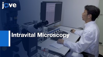 Intravital Microscopy to visualize Macrophage Lytic Cell death | Protocol Preview