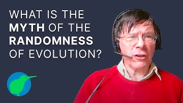 What Is The Myth Of Randomness Of Evolution?