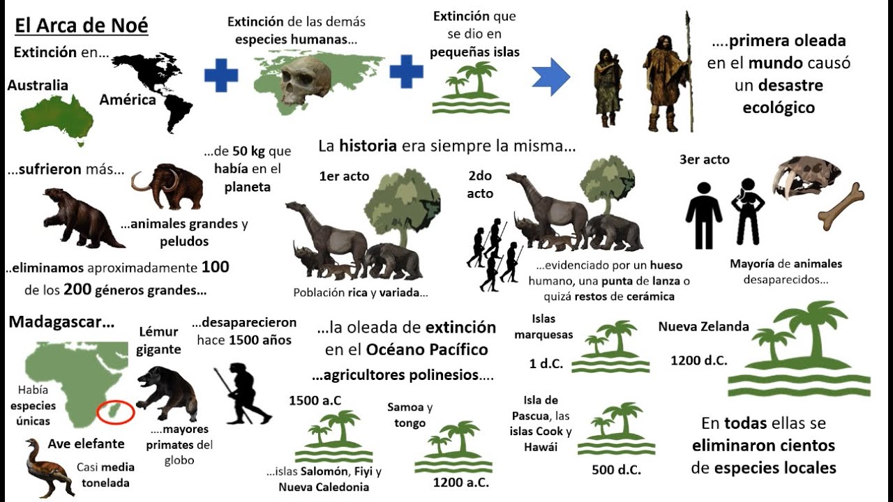 Sapiens: De animales a dioses - Resumen animado - Capítulo 4 - YouTube