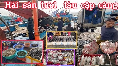 Đức Đẵng 75 | Tập 9: Hải Sản tươi ngon mà rẻ tại cảng cá chợ đầu mối Thọ Quang - Sơn Trà -Đà Nẵng.