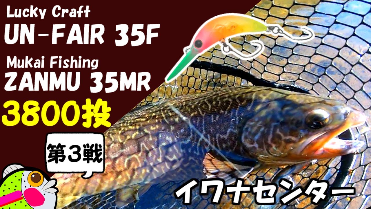 【イワナセンター】つぶアン・ザンム釣れるカラー選手権 第３戦【管理釣り場・エリアトラウト】