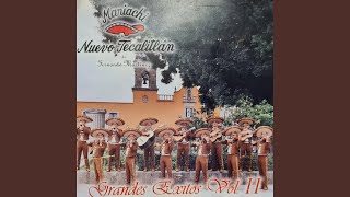 Video thumbnail of "Mariachi Nuevo Tecalitlán - Cómo Han Pasado Los Años"