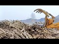Amazing big wood crushing machine factory. Extremely powerful and very dangerous!