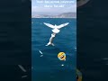 ياك انت يا حبيبي ولا راني غالطه 