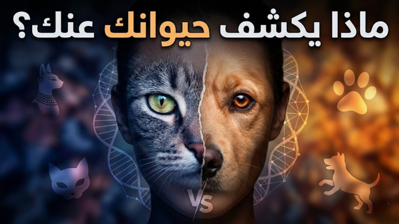 سيكولوجية الاختيار: لماذا نفضل القطط أو الكلاب؟