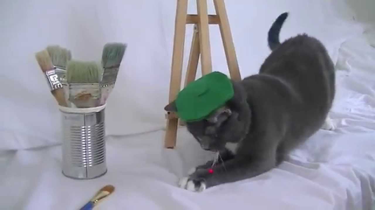 puppy paradise 2014 End-of-the-year message from Furkids
