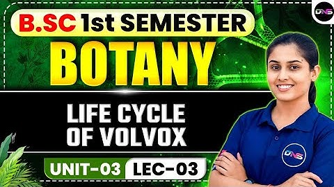 B.Sc 1st Semester Botany | BSc 1st Semester Botany Unit-3 Phycology | Life Cycle of Volvox | DNS