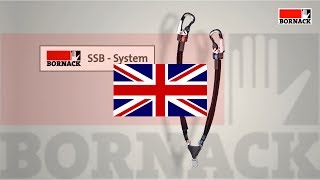 Bornack Safe Link Ssb - En