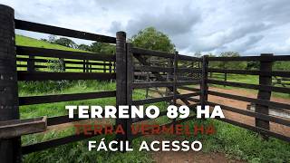 TERRENO 89 HECTARES, TERRA VERMELHA, PECUARIA E CAFÉ, ÓTIMO ACESSO