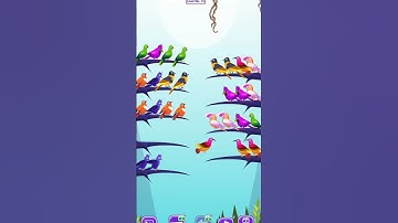 bird puzzle level 15