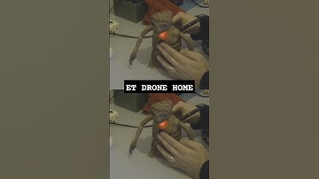 #freeformdelusion #circuitbending #circuitbent #soundfx #soundeffects #synth #synthesizer #ET