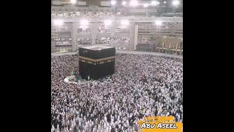 الشيخ بندر بليلة سورة الزخرف من الايه ٦٦ إلى الايه ٨٠ صلاة الفجر يوم الاربعاء 18-12-2019