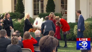 President Trump pardons turkey in annual White House ceremony