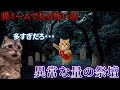 【猫ミーム】×【怖い話】異常な量の祭壇 #猫マニ