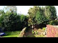 Removal of the conifer Trees Time-lapse