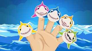Baby Shark Finger Family with Super Heroes | Plus More Nursery Rhymes