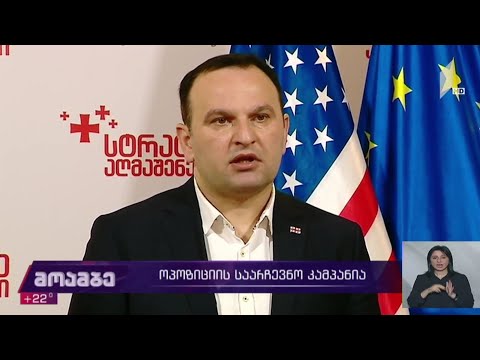 ოპოზიციის საარჩევნო კამპანია