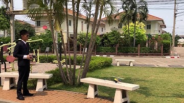 Align T-Rex 250 Pro DFC Classic Chilly Day