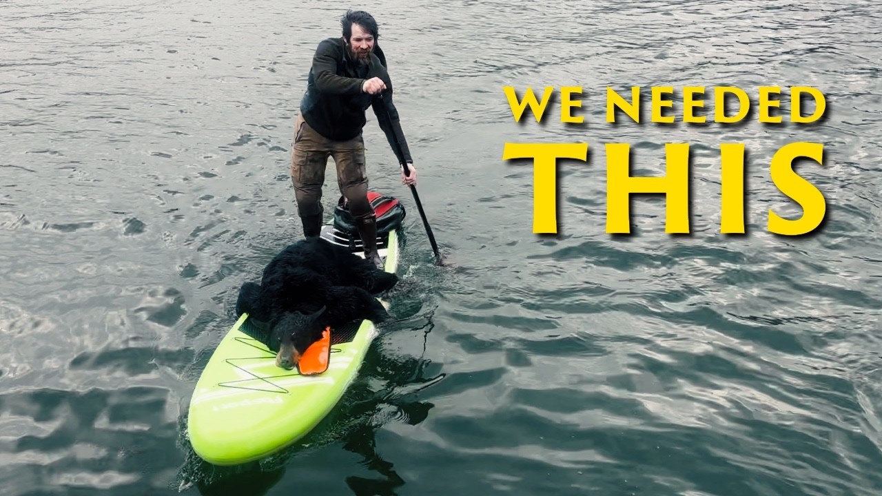 ⁣We Needed Meat to Feed the Kids | Alaska Black Bear Hunt