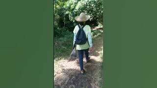 buhay mag sasaka