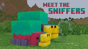 Unschooling with Fin - Meet the Sniffers