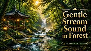 💧 A Silent River Through the Forest | Sounds for Mindfulness and Reflection