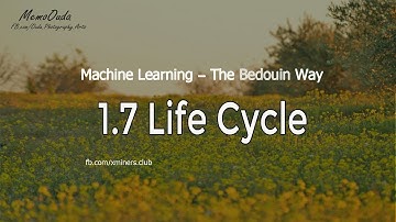 08 | ML Life Cycle | Machine Learning, The Bedouin Way
