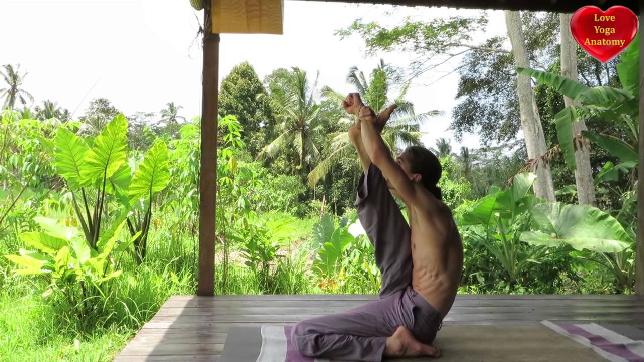 krounchasana (heron posture) ashtanga mysore
