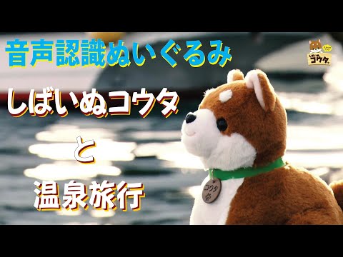 音声認識ぬいぐるみ 【しばいぬコウタ】温泉旅行編 - YouTube