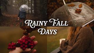 Foggy, Rainy Days in My Life | Cozy Cabin, Misty Forest Walks | Silent Vlog screenshot 5
