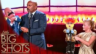 Darci Lynne And Oscar Make Steve Harvey Lose It Little Big Shots