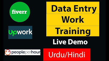 Data Entry Demo For Beginners | freelancer for beginners Hindi-Urdu | Data Entry Live Demo