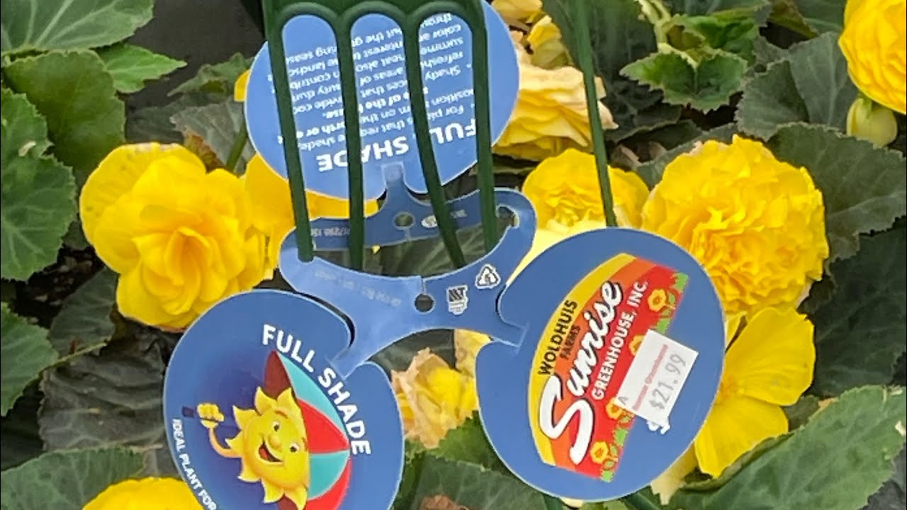 Sunrise Greenhouse in Grant Park, Illinois. My favorite place on Earth