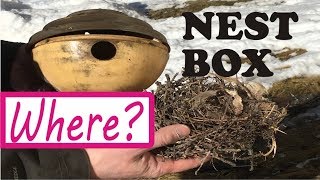 Attract Wrens By Hanging Nest Box - Birdhouse Placement Location