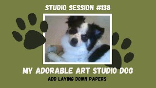 Studio Session #138 / My adorable studio dog