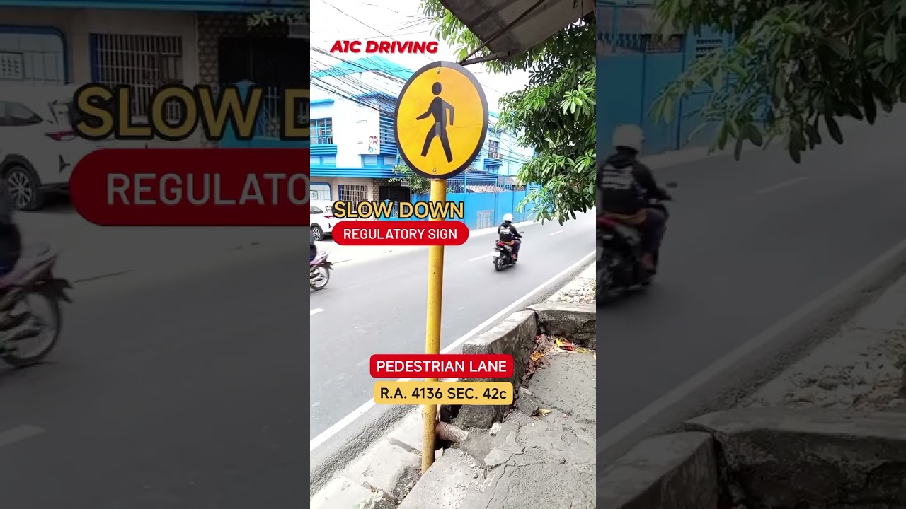 R.A. 4136 Section 42c NO STOP LIGHTS | PEDESTRIAN CROSSWALK | RIGHT OF WAY TO PEDESTRIANS |SLOWDOWN