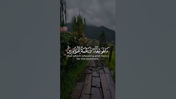 #القارئ عبدالباسط عبدالصمد