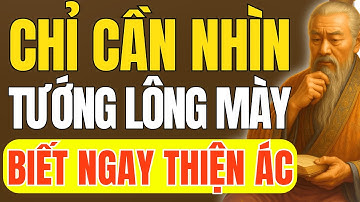 Cổ Nhân Dạy – Chỉ Cần Nhìn Tướng Chân Mày Là Biết Ngay Ai Thiện Ai Ác | Triết Lý Cuộc Sống