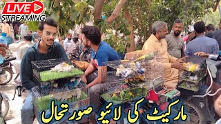 Lalukhet Sunday Birds Market Live Update  12-05-2024 |Lalukhet Birds Market Update @SYEDBIRDS