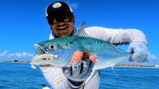 Download Lagu WILD Bonito Blitz [Slam Shady 2.0 Crushed It!!] MP3