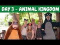 Florida Vlog | Day Three | Animal Kingdom | Walt Disney World | 2017