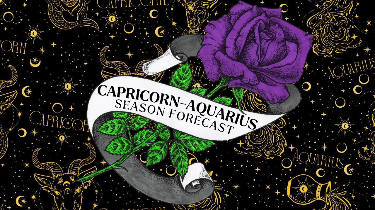 capricorn aquarius cusp 𖧷 virgo season forecast 𖧷 timeless tarot reading 🌹