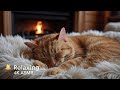 Cozy Cat Purring by the Fireplace 🔥 | Relaxing 4K ASMR Loop #catasmr #cute #kitten