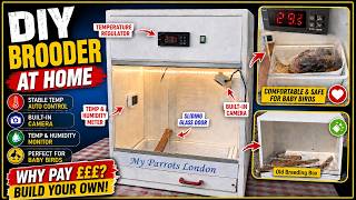 DIY Baby Parrot Brooder at Home | Why Pay £££? Build Your Own! | Homemade Brooder | DIY Brooder Hack