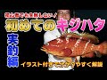 【初めてのアコウ②】実釣編!条件やアクションなど基本動作を解説しながらの釣行。【地球遊び176】