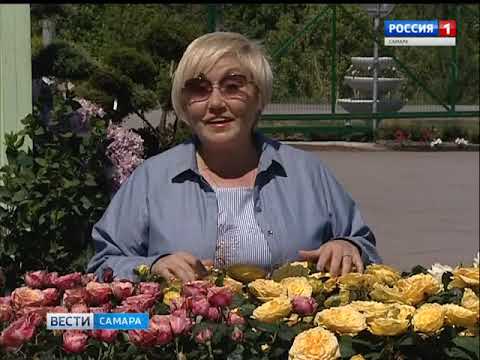 Вера Глухова Садовый Интернет Магазин