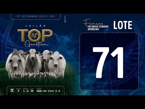 LOTE 71 FSM A2699