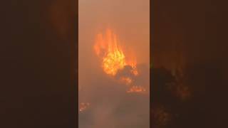 Structures Burn as Palisades Fire Explodes to 1,200+ Acres